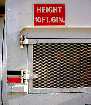 Height, NYC 2005