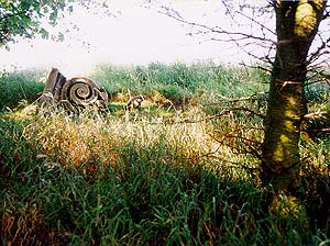 Ruined Capital in grass