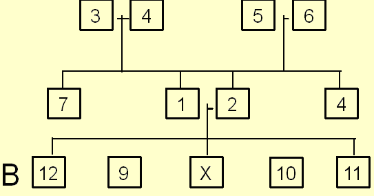 Silliman graphic 5