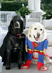 Cheney’s dogs, Jackson and Dave, dressed as Darth Vader and Superman on Oct. 30, 2007
