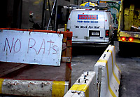 No Rats, NYC, photo John Tranter