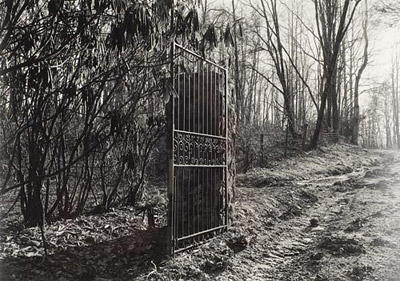 Mark Steinmetz: Skywinding Farm Gate, late 1990s