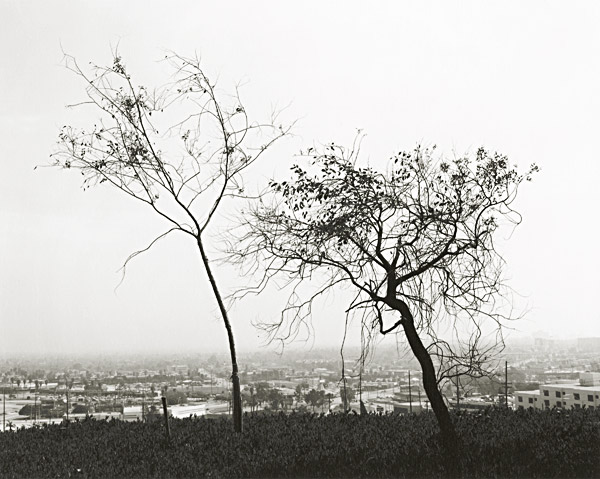 Robert Adams photo: On Signal Hill, Overlooking Long Beach, California, 1983; courtesy Fraenkel Gallery, San Francisco, © Robert Adams and the Fraenkel Gallery