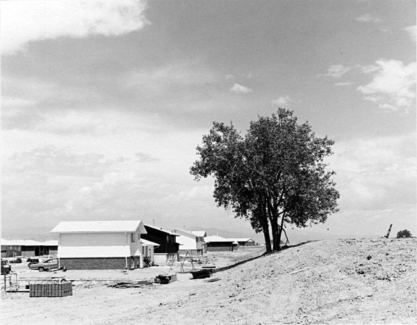 Robert Adams photo: Longmont, Colorado, 1973; courtesy Fraenkel Gallery, San Francisco, © Robert Adams and the Fraenkel Gallery