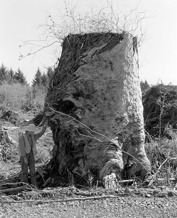 Robert Adams photo: Kerstin, next to an old-growth stump, Coos County, Oregon,
1999; courtesy Fraenkel Gallery, San Francisco, © Robert Adams and the Fraenkel Gallery