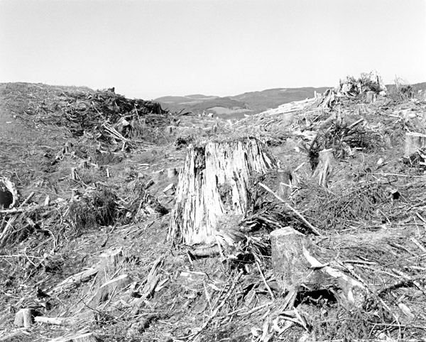 Robert Adams photo: Clatsop County, Oregon, 2001; courtesy Fraenkel Gallery, San Francisco, © Robert Adams and the Fraenkel Gallery