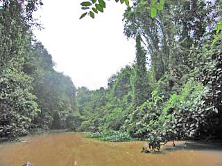 Sarawak photo 03